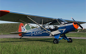 Piper PA18 D-EKHO